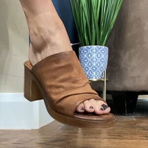 Miz Mooz Maybelle in Brandy